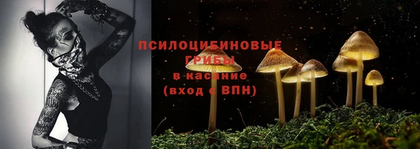 молекула духа Нягань