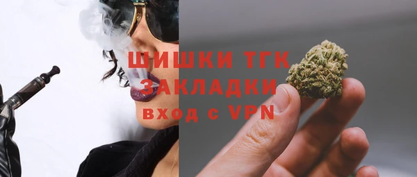 ешки Анжеро-Судженск